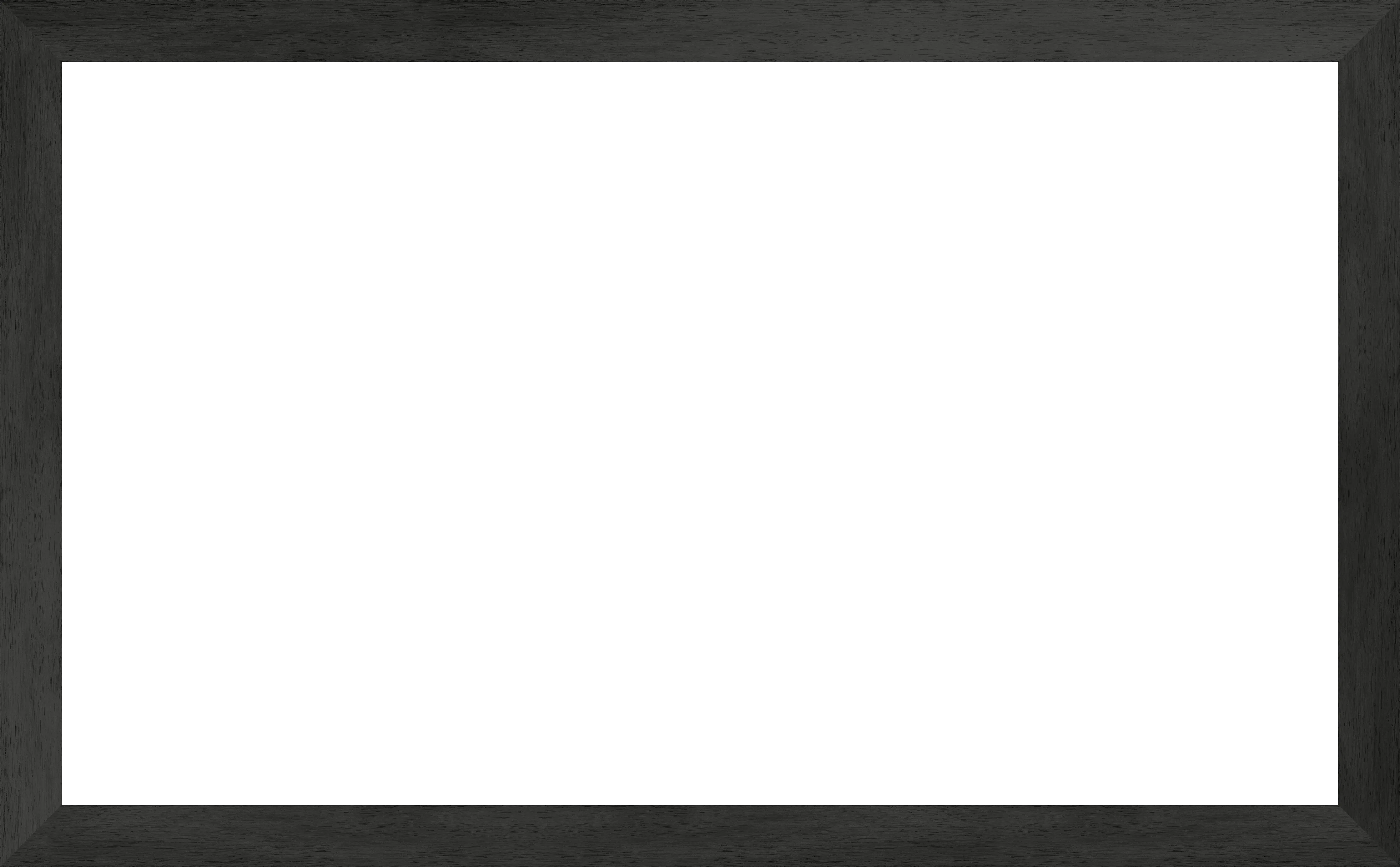 Museum Espresso (2017-2020)