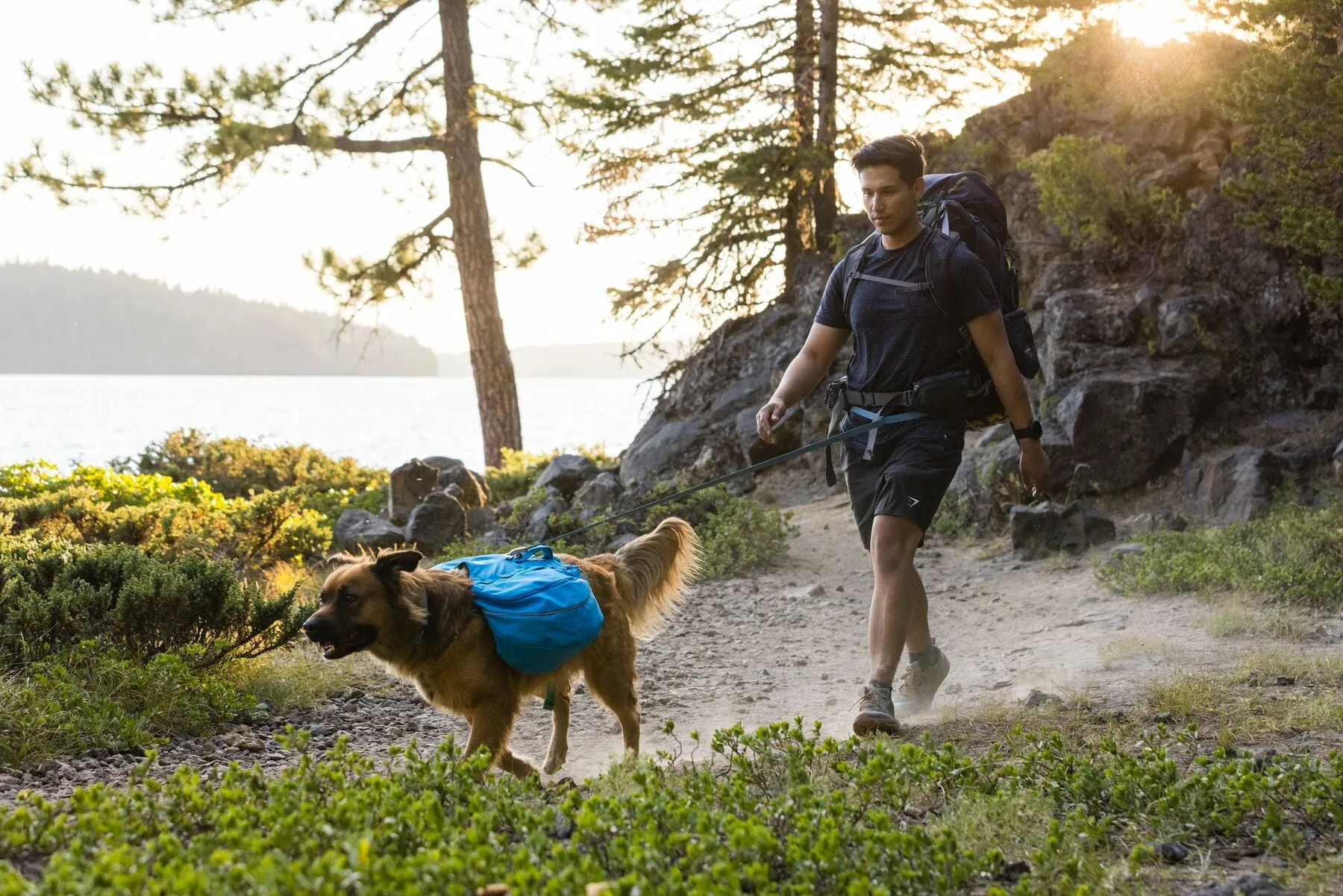 Ruffwear Approach Dog Backpack
